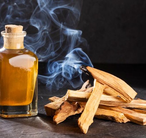 Как изготавливают эфирное масло Пало Санто (bursera graveolen wood oil)