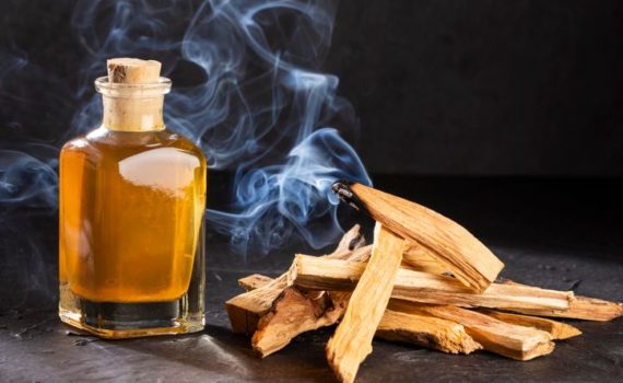 Как изготавливают эфирное масло Пало Санто (bursera graveolen wood oil)