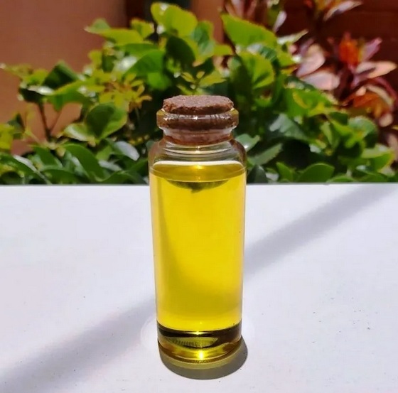 Эфирное масло Пало Санто в бутылочке 30мл Эфирное масло Пало Санто(Bursera graveolens wood essential oil) 30мл купить в Москве